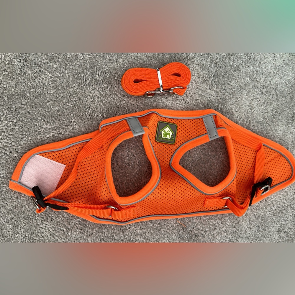 Small pet harness with leash Velcro design easy to wear size S M